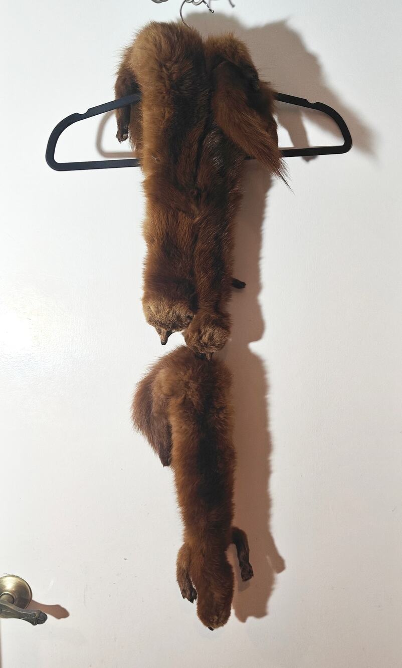 Vintage Mink Stole three-pelts, full body taxidermy